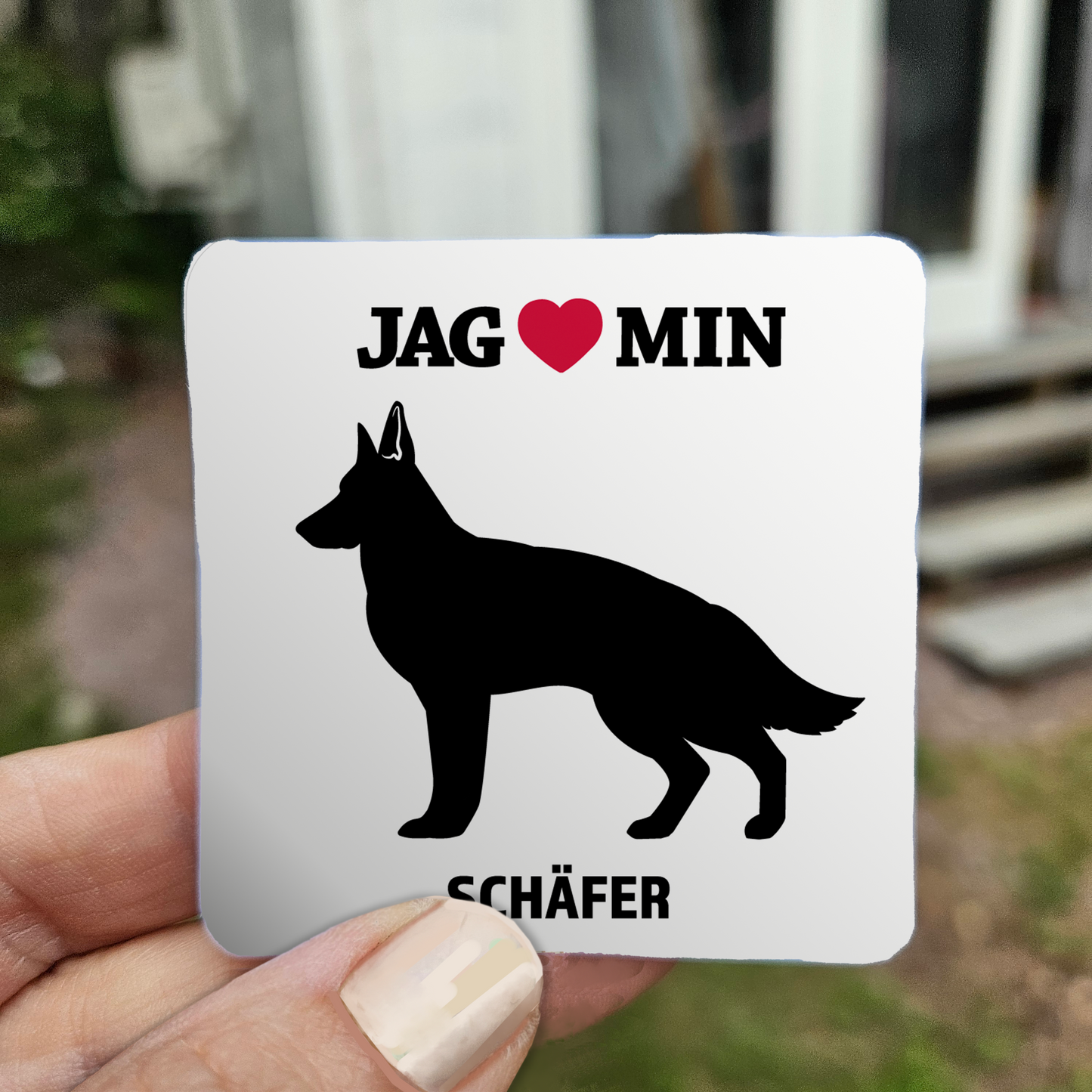 Border collie - Klistermärke