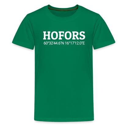 Barn T-Shirt - kelly green